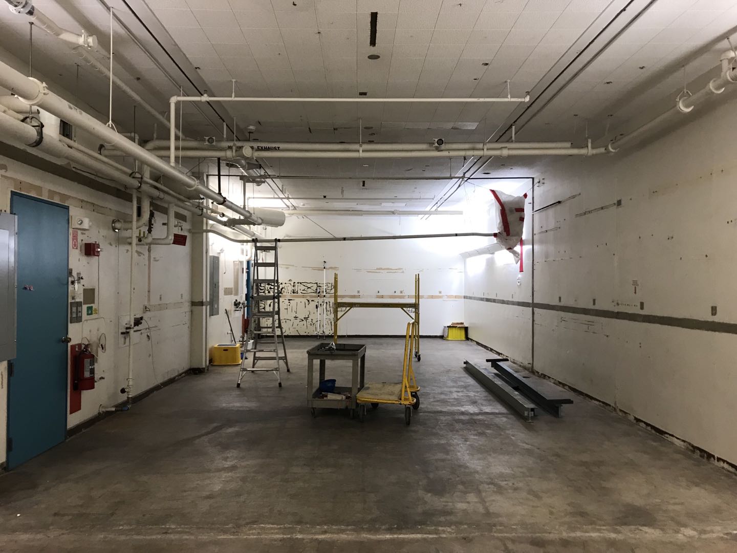 Lab Renovation Update (Sep 2019)