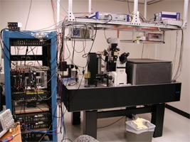Lab photo.