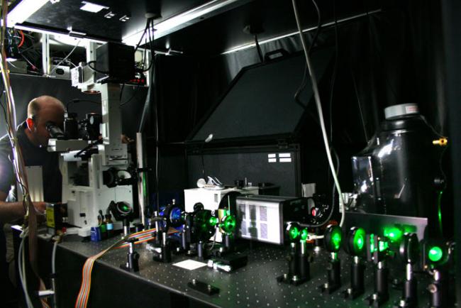 In the Nesbitt Laboratory