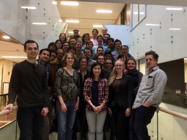  KM Group 2017