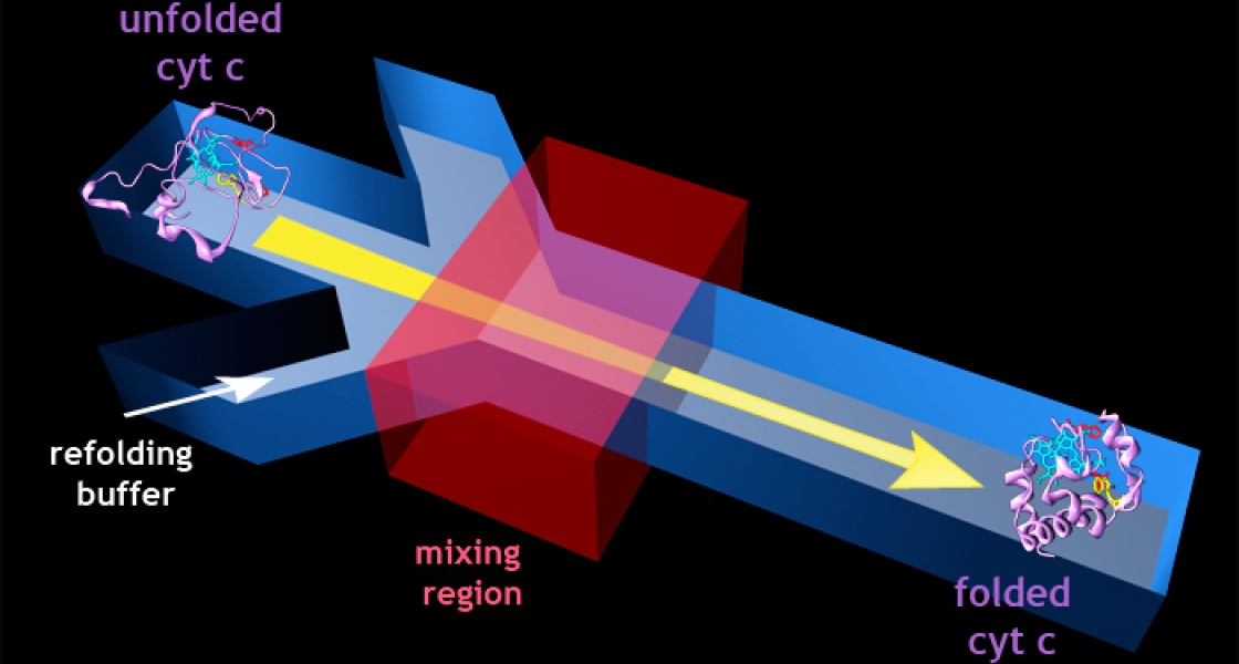 Artist's conception of a microfluidics device created by the Jimenez group.
