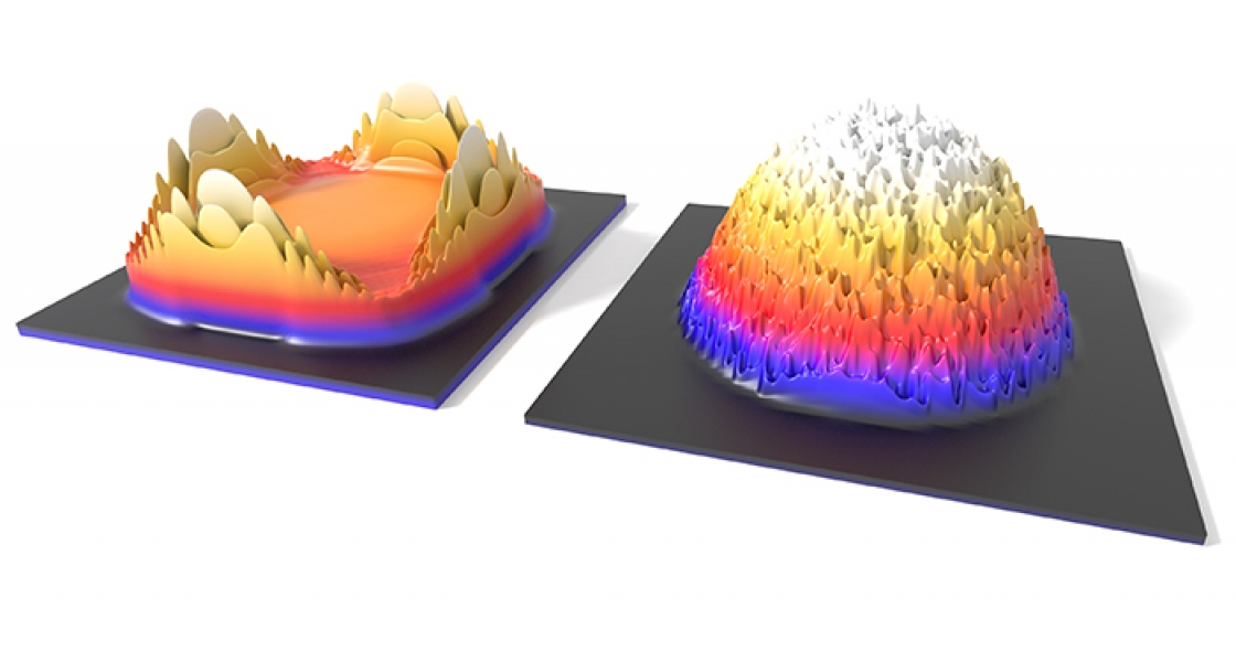 The fort-like expansion pattern predicted by the mean field theory.