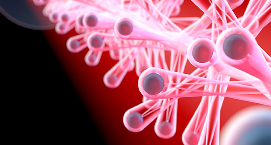 Laser light in an optical cavity.