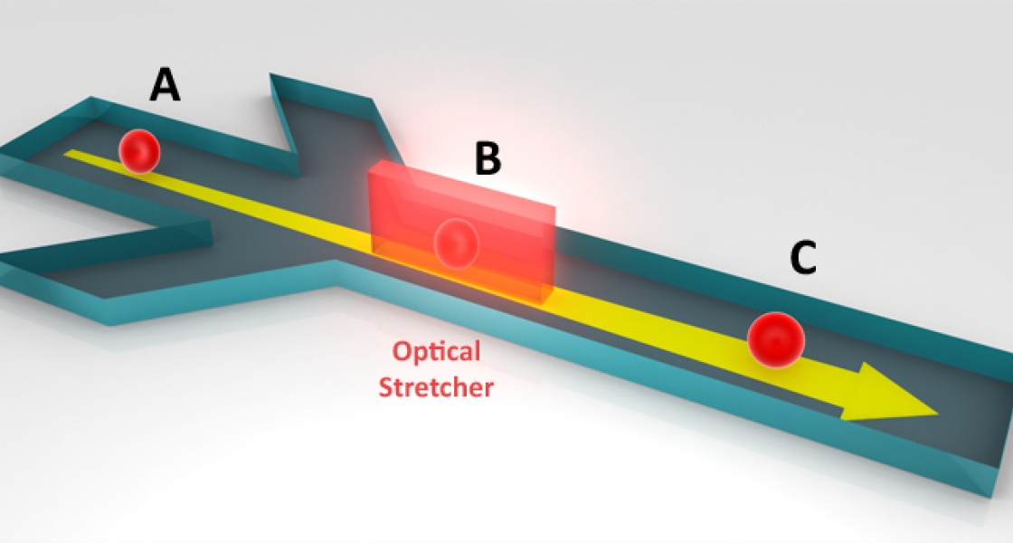Illustration of and optical stretcher.