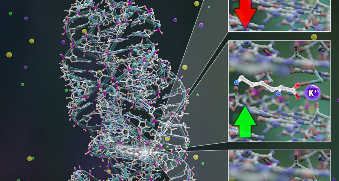 JILA PFC Homepage | JILA Physics Frontier Center