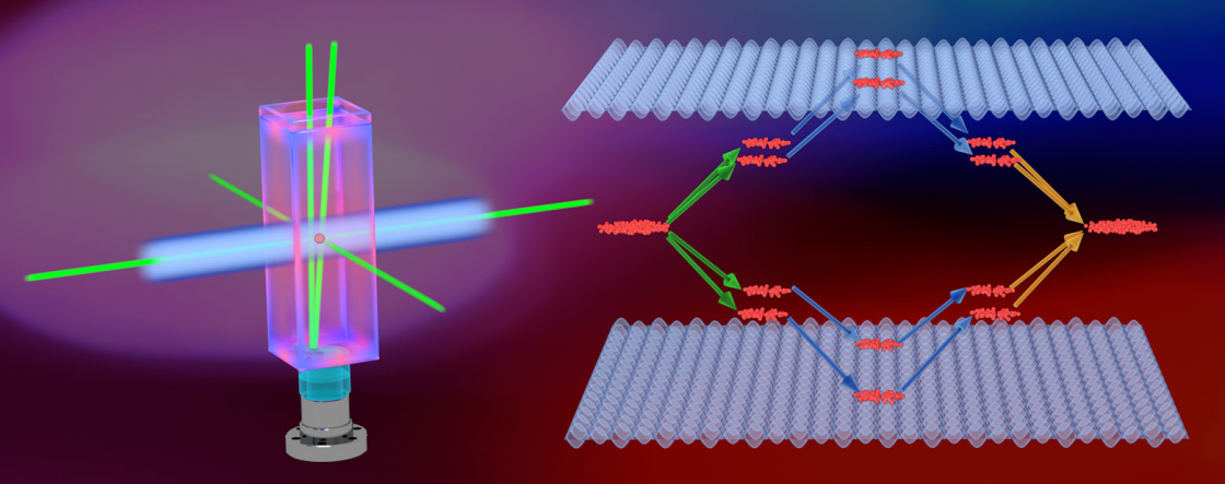 A schematic of the quantum metrology set up