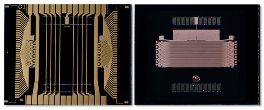 Atom chip figure.