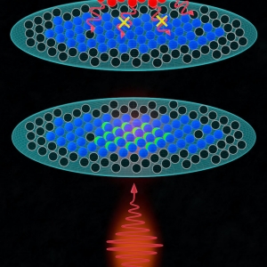 Selected atoms (green) within doubly occupied sites of a 2D "Fermi Sea" are excited by a polarized laser pulse. Pauli blocking prevents decay of the excited atoms (red) as they can only decay into unoccupied sites (black).