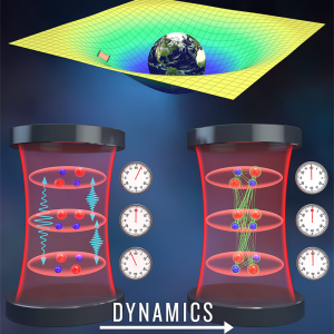An optical lattice clock)embedded in the curved spacetime formed by the earth’s gravity. Dynamical interplay between photon-mediated interactions and gravitational redshift can lead to entanglement generation and frequency synchronization dynamics.