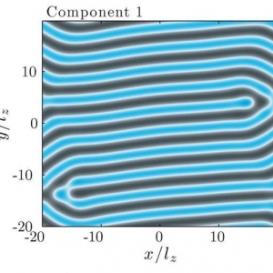 Roton Immiscibility figure.