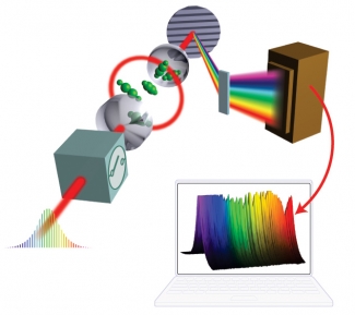 Illustration of a new method for molecule and atom identification.