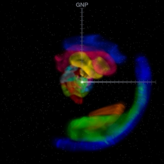 Clouds of warm gas surrounding the solar system illustration.