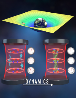 An optical lattice clock embedded in the curved spacetime formed by the earth’s gravity. Dynamical interplay between photon-mediated interactions and gravitational redshift can lead to entanglement generation and frequency synchronization dynamics.