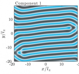 Roton Immiscibility figure.