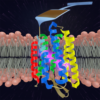 Membrane proteins figure.
