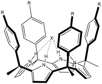 Extended octamethyl-calix[4]pyrrole.