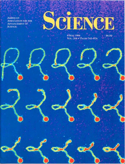 Cover image.