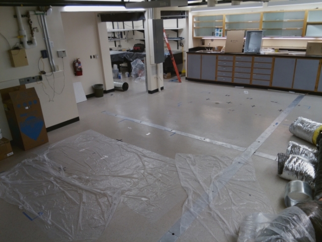 We have an empty room!