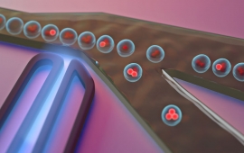 The Jimenez Lab has built a flow cytometry system that quickly sorts fluorescing cells from non-fluorescing ones.