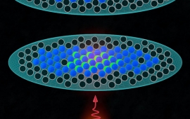 Selected atoms (green) within doubly occupied sites of a 2D "Fermi Sea" are excited by a polarized laser pulse. Pauli blocking prevents decay of the excited atoms (red) as they can only decay into unoccupied sites (black).