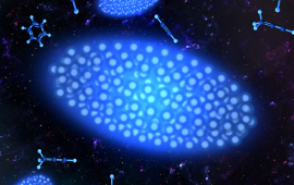 Coulomb crystals are surrounded by molecules used in the Lewandowski laboratory to study astrochemical reactions 