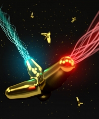 Gold nanostars in the Nesbitt Laboratory