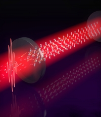 Phase transitions in a dynamic system