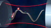 Multilevel atoms on a superradiance potential "rollercoaster" inside an optical cavity. The system can be tuned to generate squeezing in a dark state where it will be immune to superradiance.